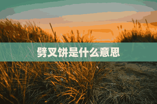 劈叉饼是什么意思